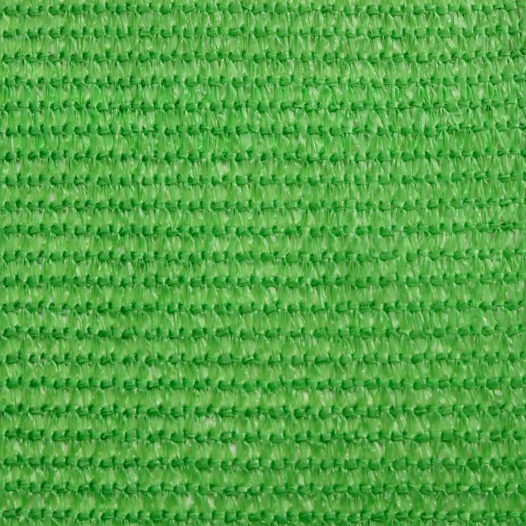 69043567
